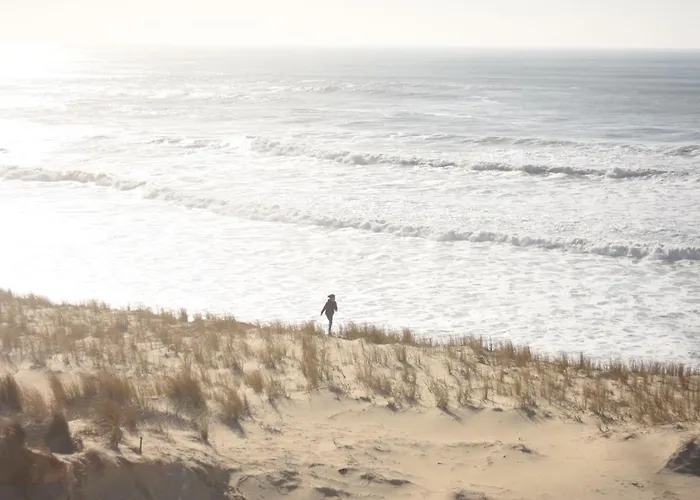 Casa de Férias La Cachette Du Un Cocon Nature Pour Des Souvenirs Inoubliables *