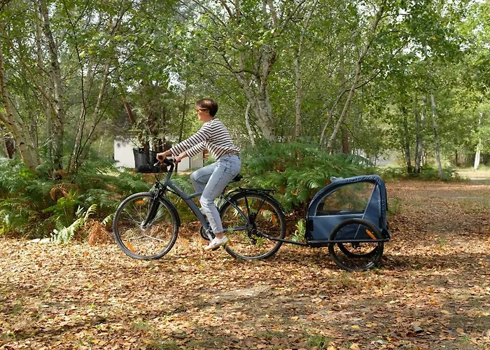 La Cachette Du Un Cocon Nature Pour Des Souvenirs Inoubliables * Lacanau