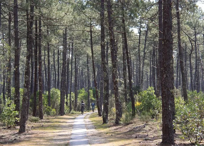 Casa de Férias La Cachette Du Un Cocon Nature Pour Des Souvenirs Inoubliables *