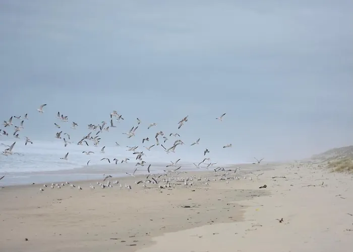 La Cachette Du Un Cocon Nature Pour Des Souvenirs Inoubliables Casa de Férias *